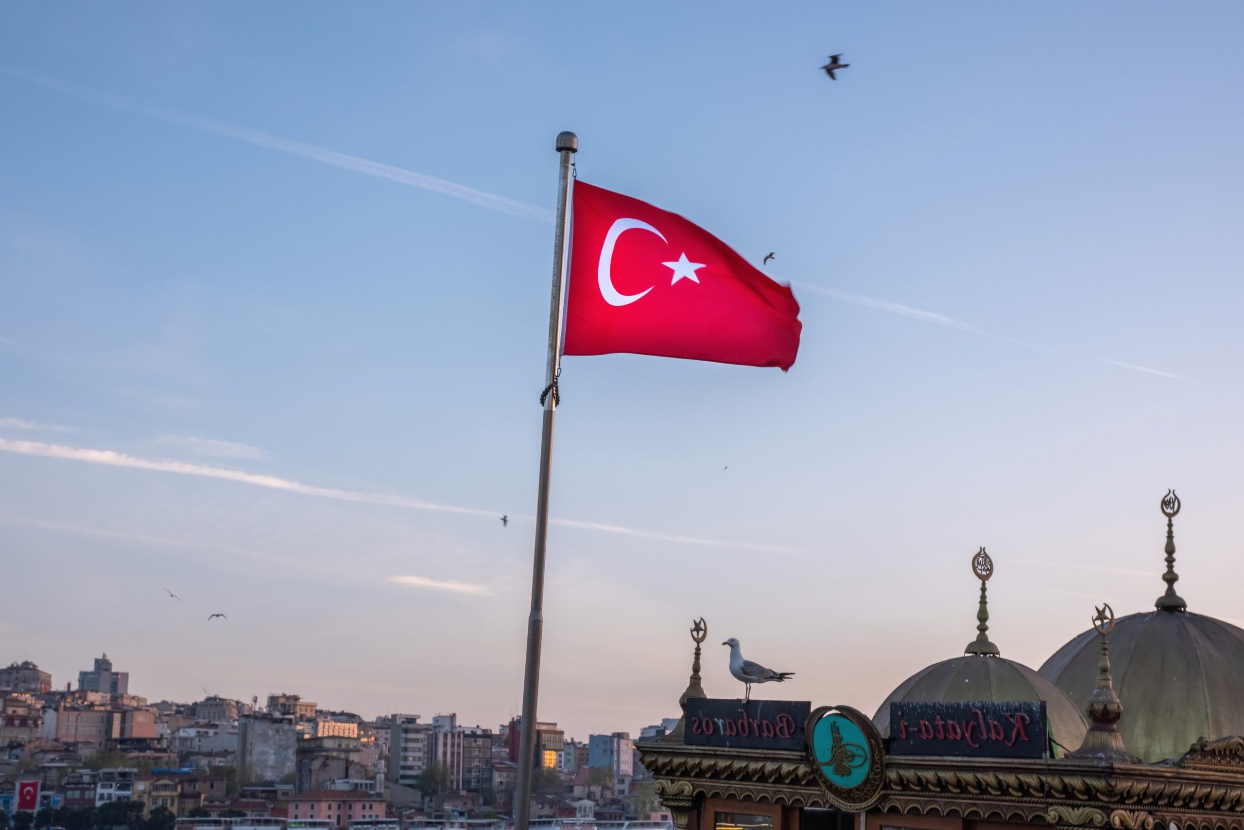 Picture of Istanbul and Turkish Flag