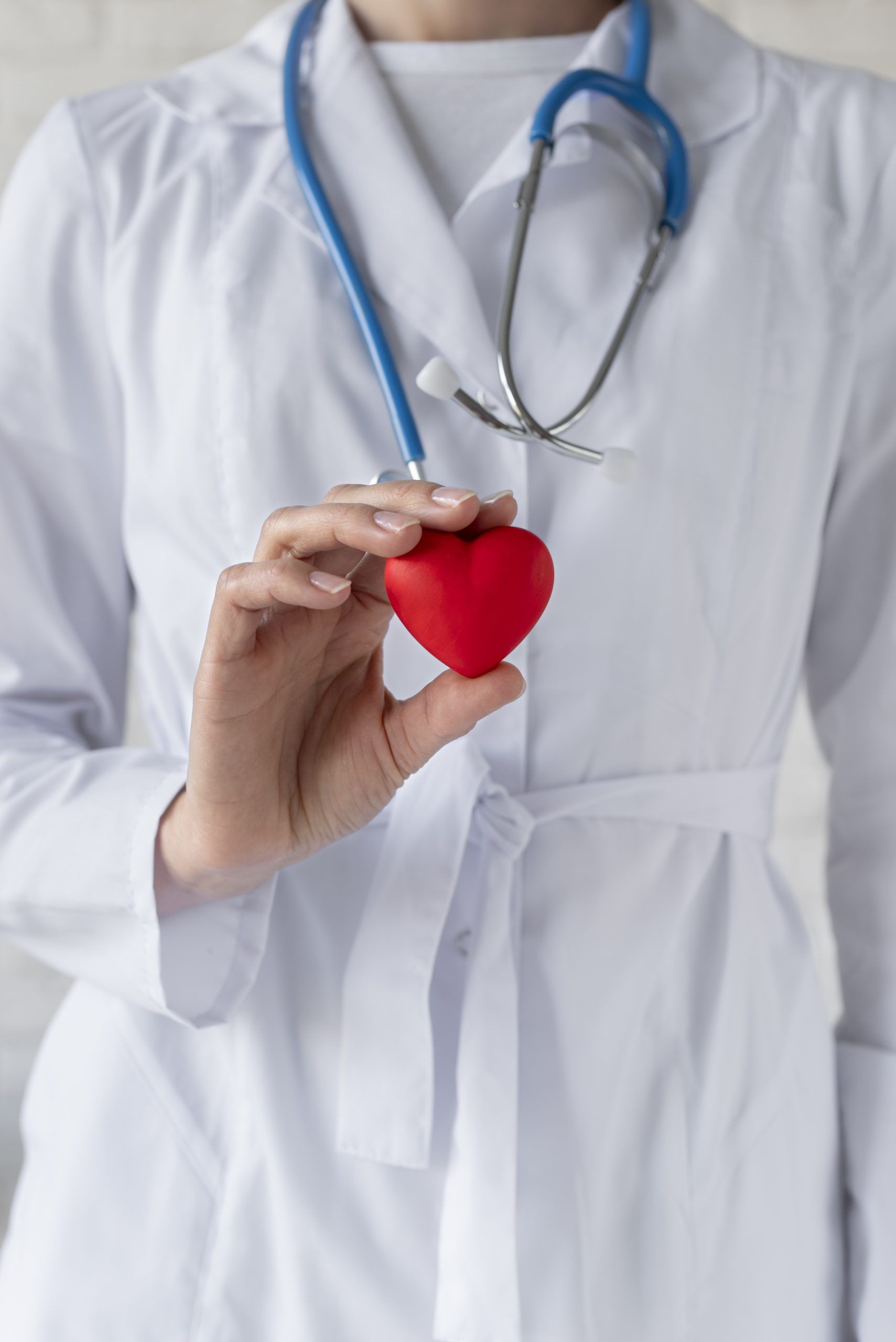 Cardiology Doctor Holding a Plastic Heart