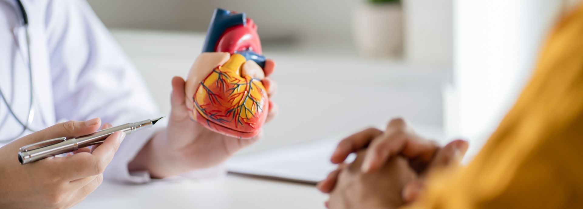 Cardiology. Doctor holding a plastic heart and pointing pen to it, showing it to a patient