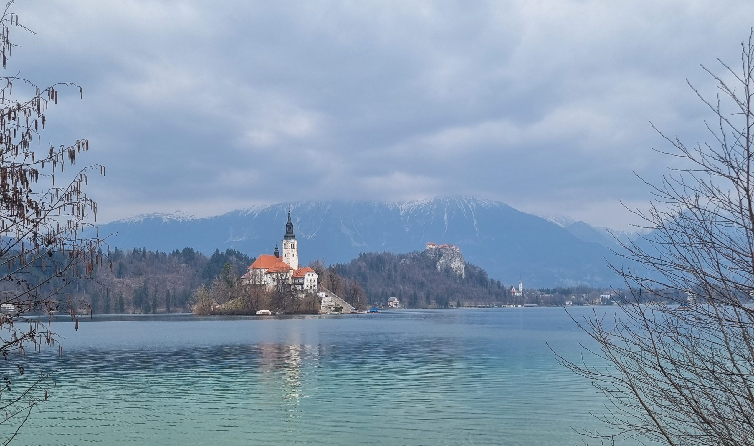 Business Consultancy