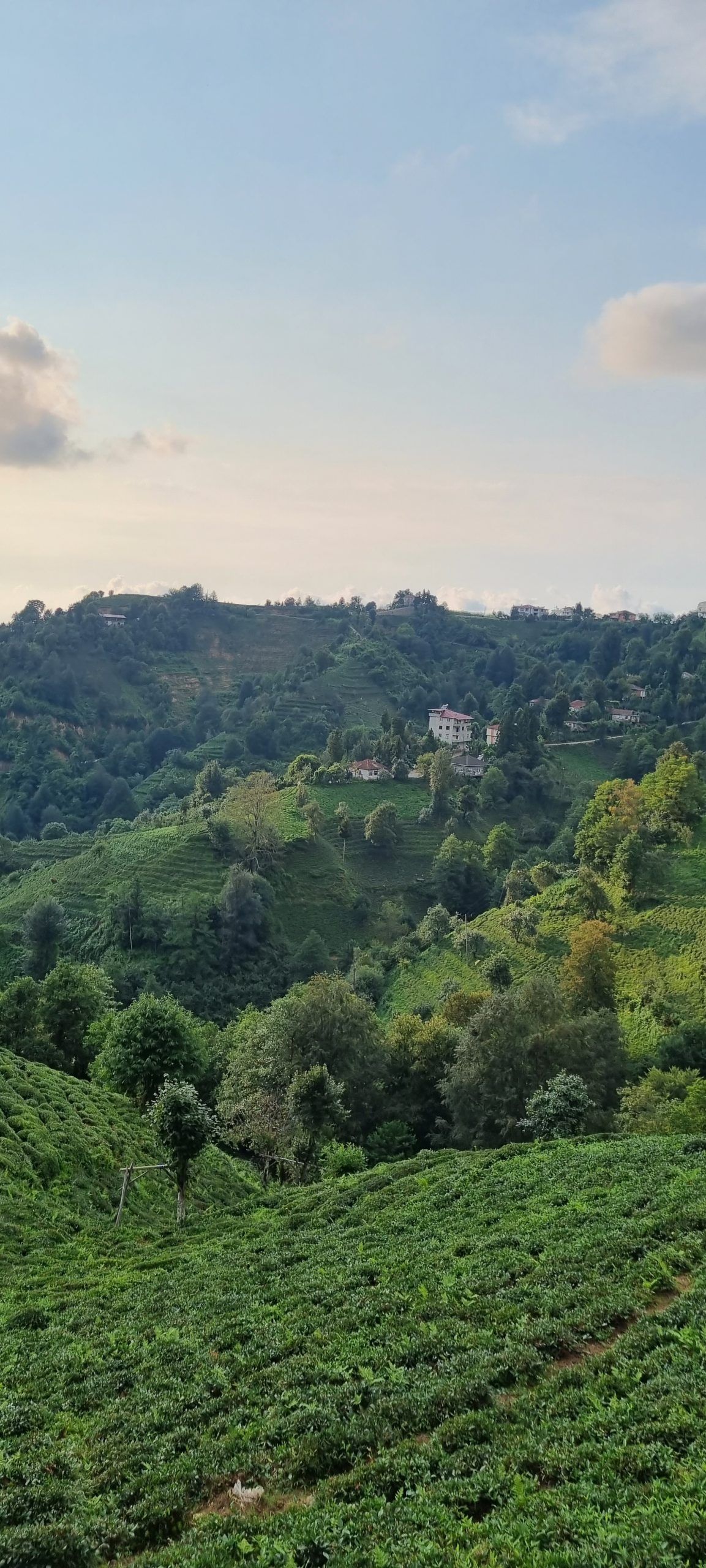 Village Rize Turkey